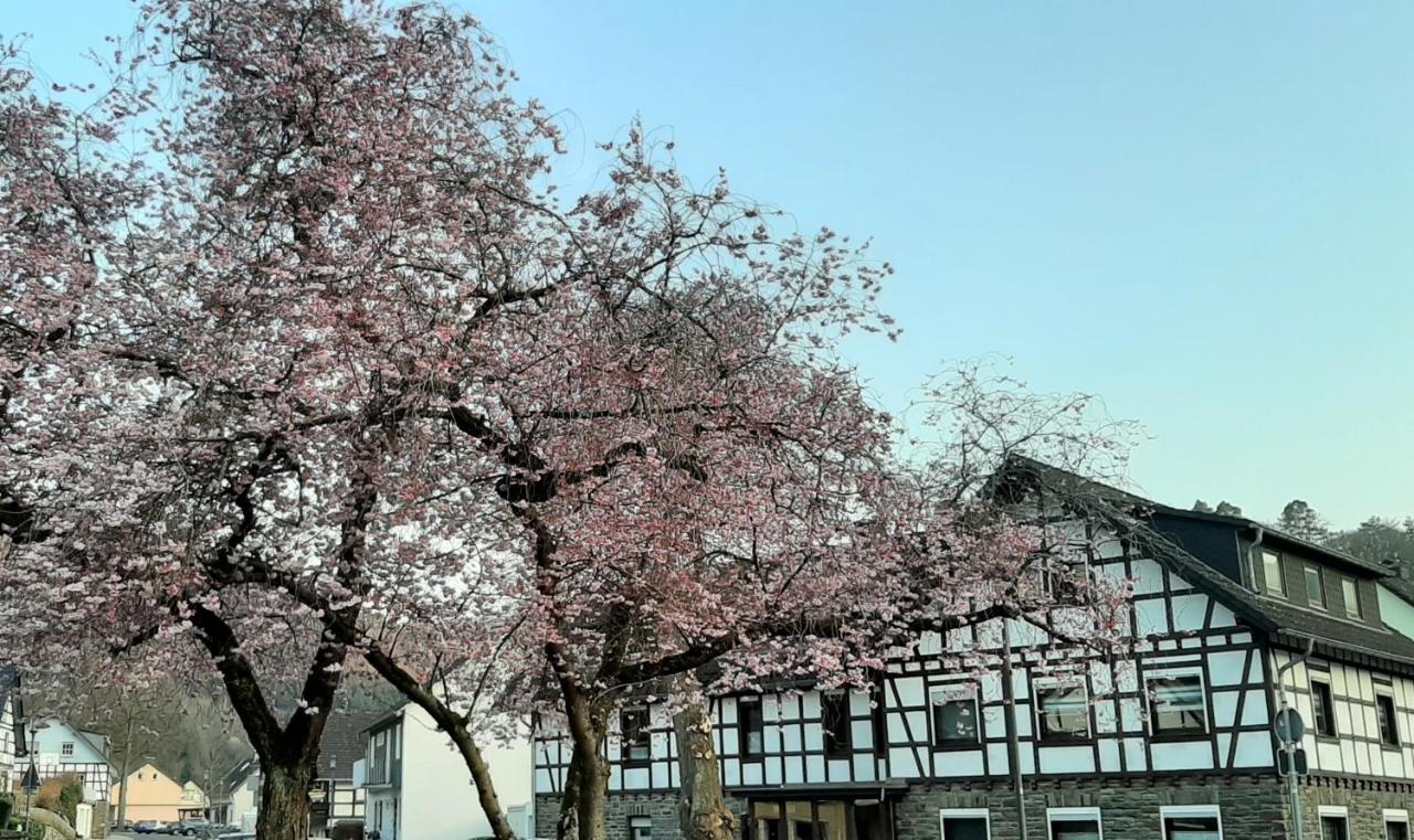 Vivanatura Eifelferienhaus Einruhr Luaran gambar