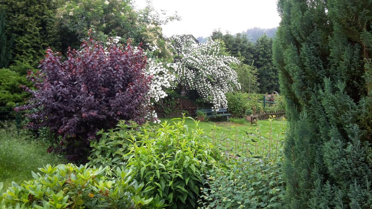 Vivanatura Eifelferienhaus Einruhr Luaran gambar